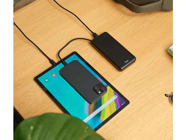Powerbank Trust Fiera 20.000 met kabel 2 USB-poorten zwart