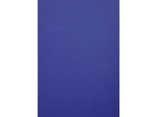 PK100 inbindkaft FOR EVER 270g A4 do-bl. - 2