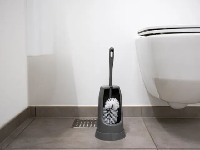 Brosse toilette classique + brosse pour les bords + support rond 400mm