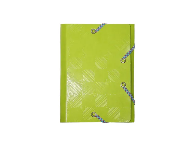 Elastomap 3 Kleppen In Gelamineerd Glanskarton Assorti