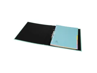 Tabbladen A4 6T glan skarton 400g AQUAREL - 5