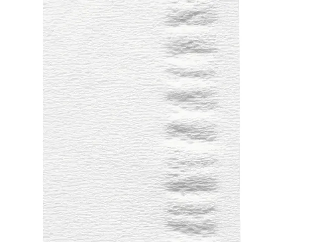 Facial tissues Satino Prestige 2-laags 100vel wit 206450