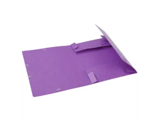 CARTOBOX glanskarton rug 60mm paars - 3