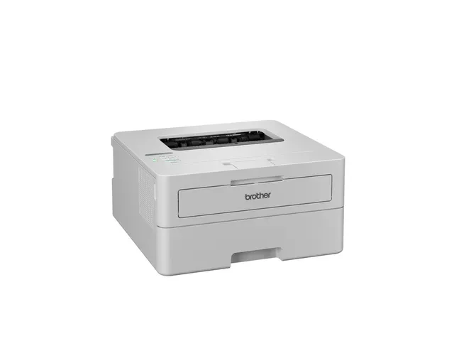 Printer Laser Brother HL-L2865DW