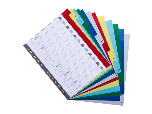 Bedrukte Tabbladen A4+ Jan-dec Assorti Pp 0.12mm 12-delig 11-gaats(FR)