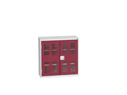 wandkast 800x800x350mm 2xStalen bodem sokkel Ral 7035 front Ral 3004