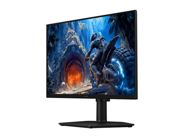 Ecran Gaming Samsung 25 inch Full HD