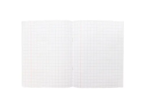 Schrift Kangaro A5 ruit 10mm 80pagina's 60gram 10 stuks assorti