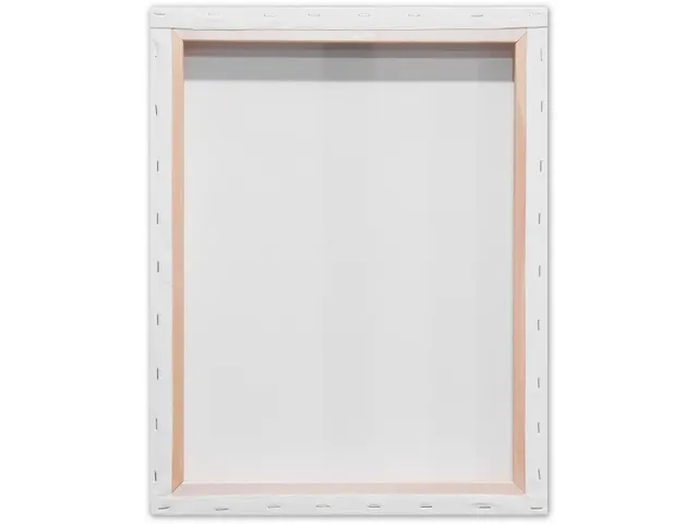 bespannen spierraam 3D 40x50cm