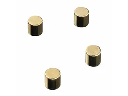 Glasbordmagneten Naga 10x10xmmcylinder set a 4st. goud