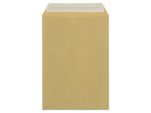 Envelop Raadhuis 162x229mm C5 akte plakstrip kraft 90gr 500 stuks in d