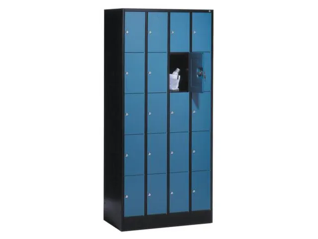armoire multicases,corps RAL7035,face avant RAL7035