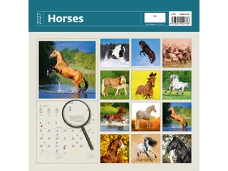 Kalender 2027 Helma 365 30x30cm paarden - 3