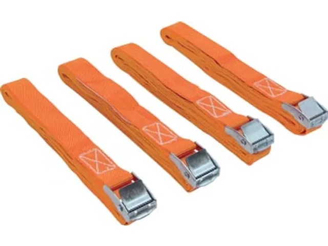 Spanbanden ft 3,6 m x 25 mm, pak van 4 stuks