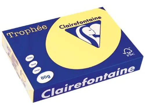 Trophée Pastel gekleurd papier A4 80 gram 500vel Citroengeel
