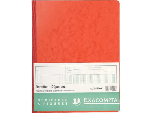 Piqure 32x25 Recette s-Depenses 80 bl