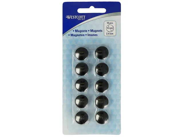 Aimant Westcott Ø 15x8mm 100g 100g Set 10 pièces