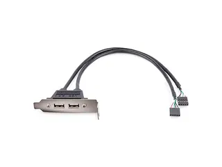 2-poorts USB A vrouwelijke low-profile Slot Plate Adapter - 3
