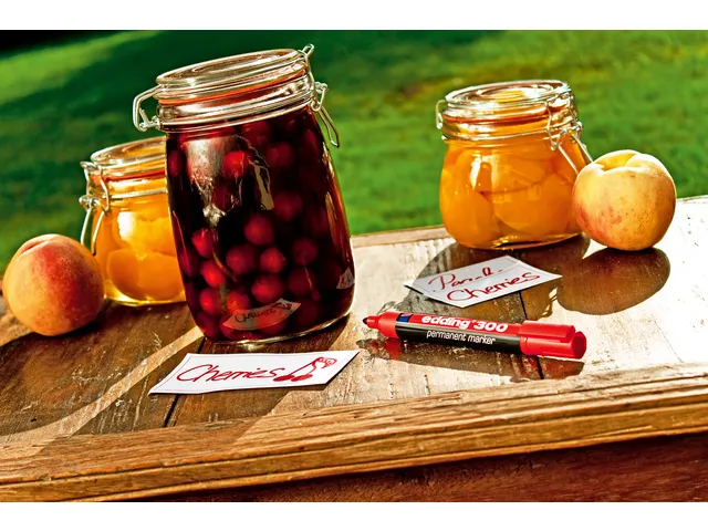 Marqueur edding 300 Permanent Ogive 1,5-3mm rouge