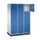 grootvolume-lockersysteem,RAL 7035/RAL 5010,HxBxD 1950x1220x600mm