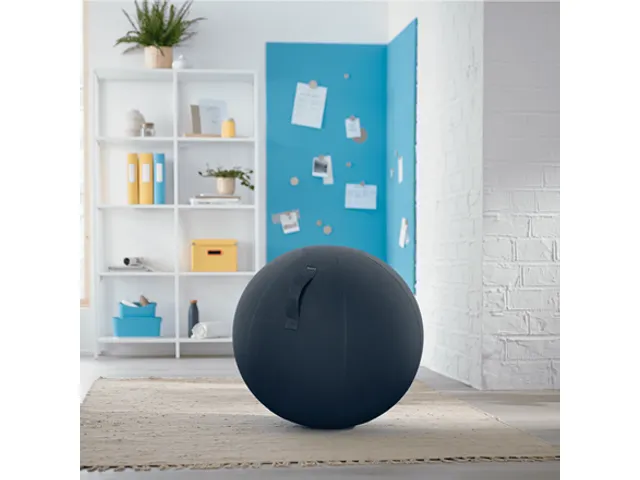 Leitz Ergo Cosy Actieve Zitbal Fluweel Grijs
