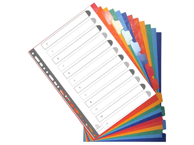 Tabbladen glanskarton 225g met versterkte tabs 12-delig A4 Assorti