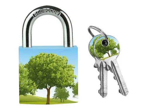 Hangslot Masterlock 30mm met 2 sleutels Assorti motief
