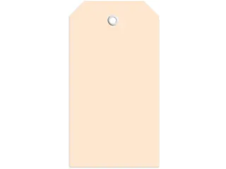 Herma 6018 Hanglabel 60x113mm Bruin karton met plastic oogje 1000 stuk - 2