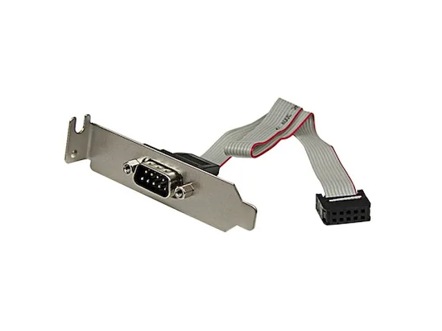 9-pins Serieel Mannelijk naar 10-pins Moederbord Low-Profile Slotplaat