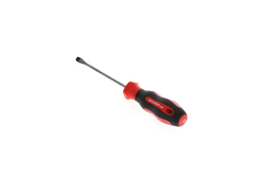 R38105519 2C schroevendraaier sleuf 5,5mm 1x100mm
