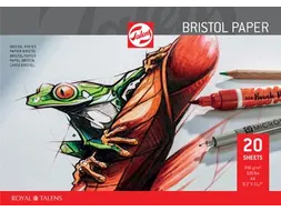 Bristol papier 250 g 21 x 29,7 cm A4 20 vel