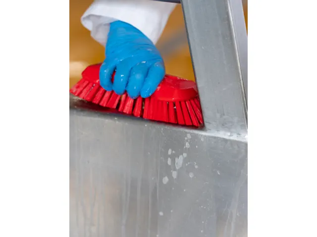 Vikan Hygiene extra grote handborstel extra harde vezels 230mm Rood