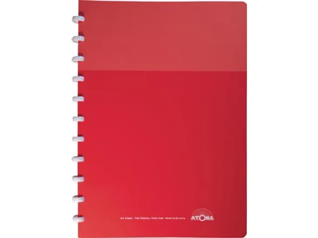 Schrift My Creative Atoma A4 Assorti Commercieel Ruit