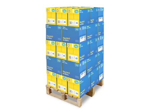 Kopieerpapier Datacopy A4 80 Gram Wit Pallet