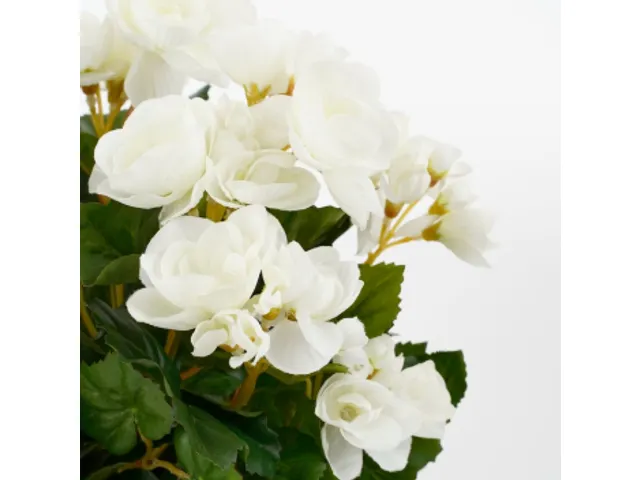 Kunstplant Mica Begonia wit in pot Stan grijs 25x30cm