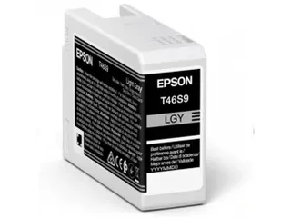 Epson Origineel Inktcartridge UltraChrome Pro 10 C13T46S900 Licht grij - 1