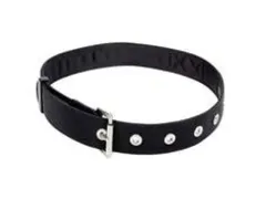 Capital Safety draagriem 1500113 maat S-L 71 cm-116 cm