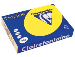 Trophée Intens Gekleurd Papier A4 80 gram 500vel Zonnegeel