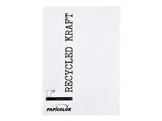 Kopieerpapier Papicolor A4 90gr 12 vel kraft wit - 2