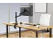 Neomounts DS60-425BL1 Monitorarm 17-27” 8kg VESA 75/100 Zwart