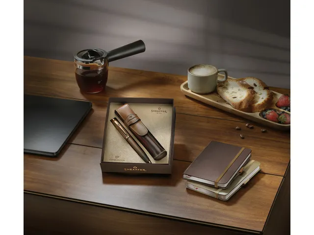 Coffret cadeau stylo plume Sheaffer 100 M Coffee ed. Matt brown