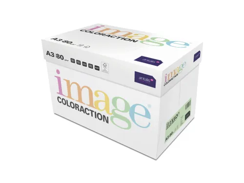 Kopieerpapier Forrest Middelgroen A3 160 Gram 500 Vel