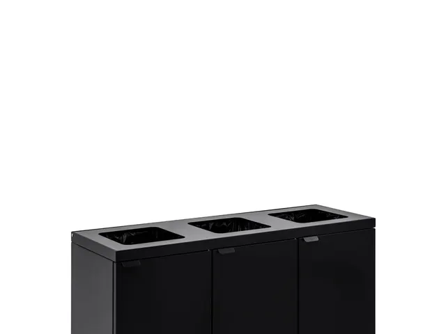 Bica 868 Afvalscheidingsunit 3x65 Liter Zwart