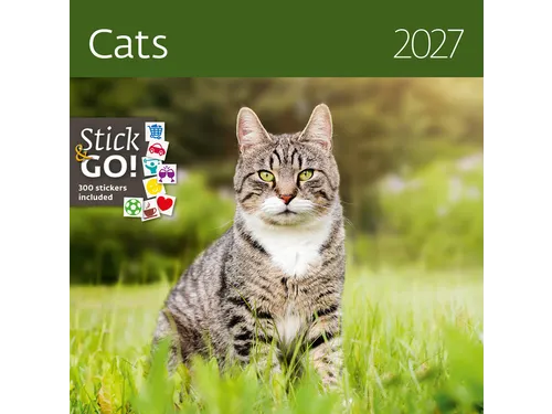 Kalender 2027 Helma 365 30x30cm katten
