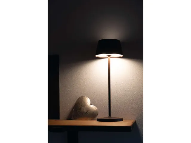 Lampe de table LED à pile MAULnina réglable marron