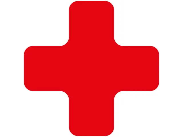 plaksymbool,plus,markering HxB 150x150mm,polycarbonaat,rood