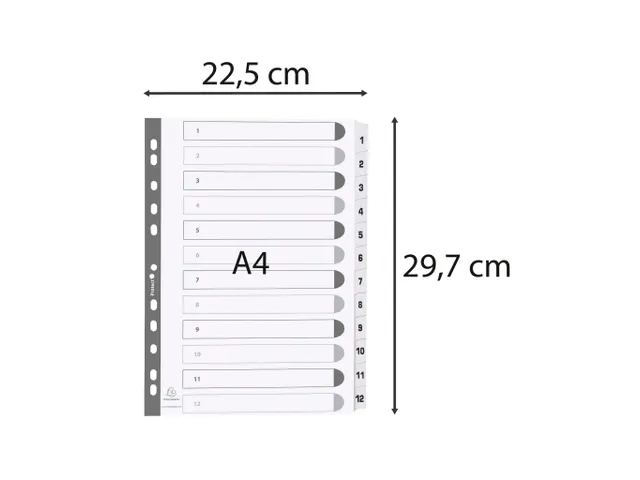 Bedrukte tabbladen A4 geplastificeerde tabs 12-delig 1-12 Wit