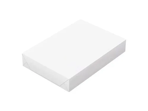 Kopieerpapier Canon White label Copy A4 80gr pak 500vel pallet