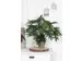 Kunstplant Mica Philodendron selloum groen in pot 50x60cm