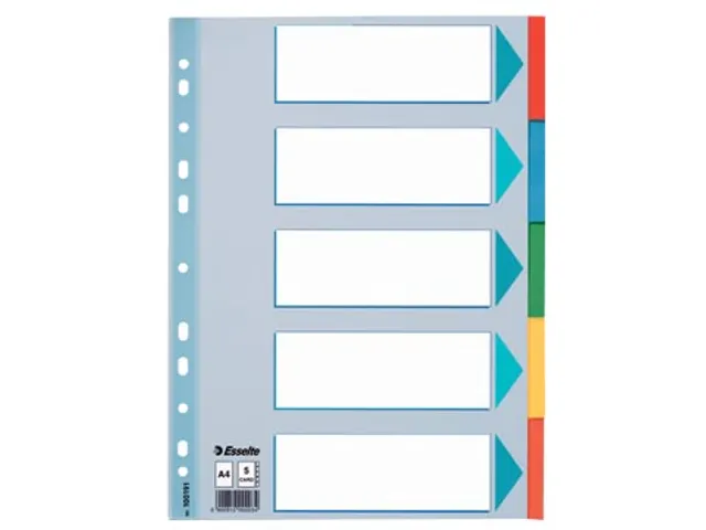Tabbladen A4 Karton 5-delig Assorti Kleuren 21-gaats